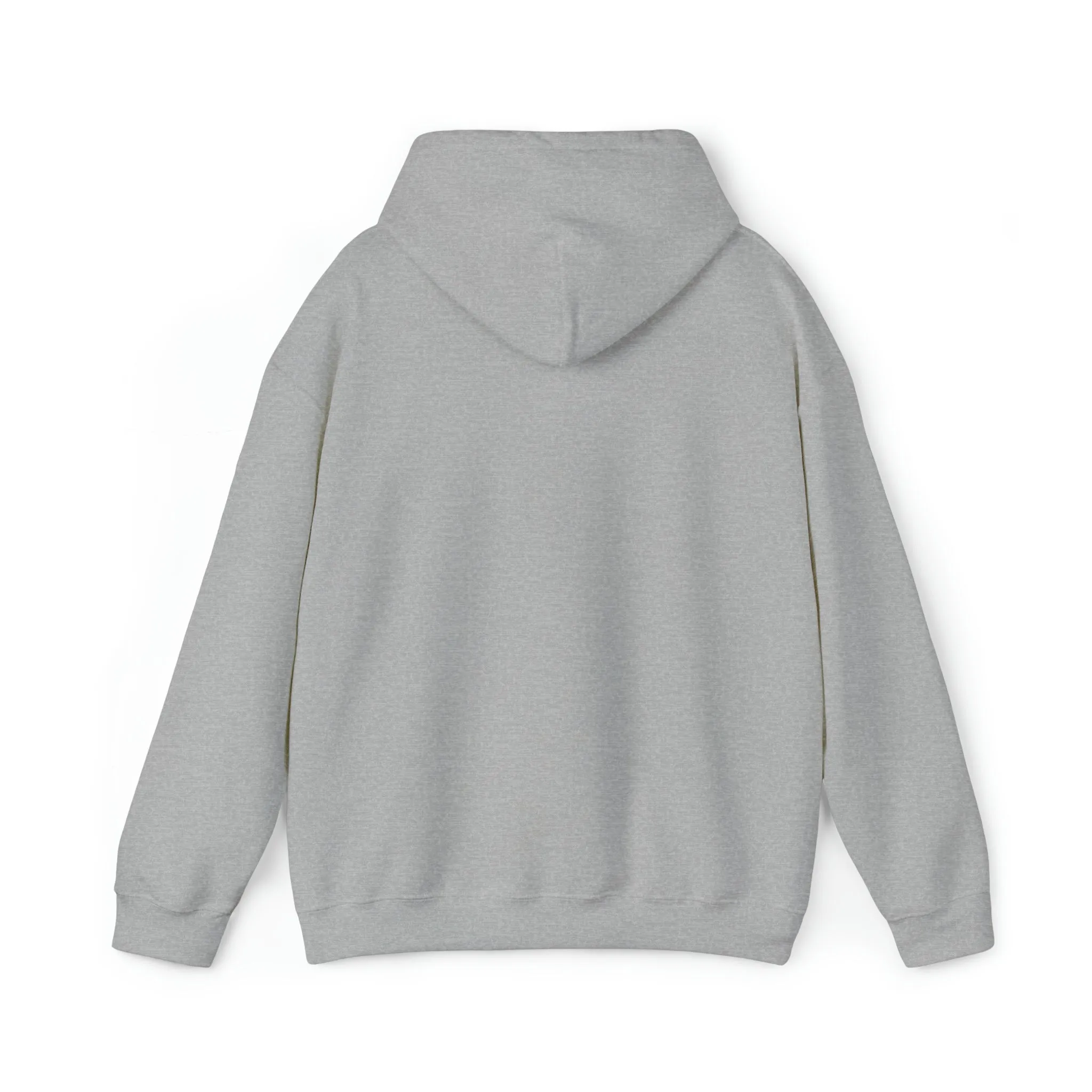 Heavy Blend™ Hooded Sweatshirt